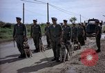 Immagine di Cani sentinella Tan Son Nhut Air Force Base Vietnam, 1965, secondo 35 filmato di repertorio 65675028498
