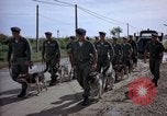 Immagine di Cani sentinella Tan Son Nhut Air Force Base Vietnam, 1965, secondo 36 filmato di repertorio 65675028498