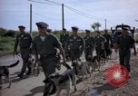 Immagine di Cani sentinella Tan Son Nhut Air Force Base Vietnam, 1965, secondo 37 filmato di repertorio 65675028498