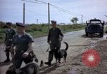 Immagine di Cani sentinella Tan Son Nhut Air Force Base Vietnam, 1965, secondo 41 filmato di repertorio 65675028498