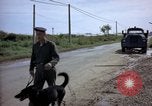 Immagine di Cani sentinella Tan Son Nhut Air Force Base Vietnam, 1965, secondo 42 filmato di repertorio 65675028498