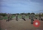 Immagine di Cani sentinella Tan Son Nhut Air Force Base Vietnam, 1965, secondo 49 filmato di repertorio 65675028498