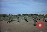 Immagine di Cani sentinella Tan Son Nhut Air Force Base Vietnam, 1965, secondo 51 filmato di repertorio 65675028498