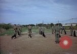 Immagine di Cani sentinella Tan Son Nhut Air Force Base Vietnam, 1965, secondo 55 filmato di repertorio 65675028498
