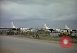 Immagine di Cani sentinella Tan Son Nhut Air Force Base Vietnam, 1965, secondo 15 filmato di repertorio 65675028499