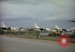Immagine di Cani sentinella Tan Son Nhut Air Force Base Vietnam, 1965, secondo 19 filmato di repertorio 65675028499