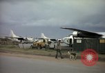Immagine di Cani sentinella Tan Son Nhut Air Force Base Vietnam, 1965, secondo 30 filmato di repertorio 65675028499