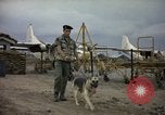 Immagine di Cani sentinella Tan Son Nhut Air Force Base Vietnam, 1965, secondo 39 filmato di repertorio 65675028499