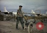 Immagine di Cani sentinella Tan Son Nhut Air Force Base Vietnam, 1965, secondo 40 filmato di repertorio 65675028499