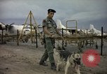 Immagine di Cani sentinella Tan Son Nhut Air Force Base Vietnam, 1965, secondo 41 filmato di repertorio 65675028499