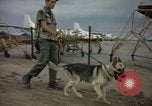 Immagine di Cani sentinella Tan Son Nhut Air Force Base Vietnam, 1965, secondo 42 filmato di repertorio 65675028499
