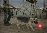 Immagine di Cani sentinella Tan Son Nhut Air Force Base Vietnam, 1965, secondo 43 filmato di repertorio 65675028499