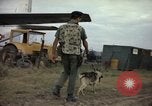 Immagine di Cani sentinella Tan Son Nhut Air Force Base Vietnam, 1965, secondo 51 filmato di repertorio 65675028499