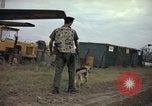 Immagine di Cani sentinella Tan Son Nhut Air Force Base Vietnam, 1965, secondo 52 filmato di repertorio 65675028499