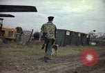 Immagine di Cani sentinella Tan Son Nhut Air Force Base Vietnam, 1965, secondo 53 filmato di repertorio 65675028499