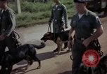 Standbild sentry Hunde Tan Son Nhut Air Force Base Vietnam, 1965, aus Sekunde 8 historischem Filmmaterial Videoclip 65675028500