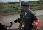 Standbild sentry Hunde Tan Son Nhut Air Force Base Vietnam, 1965, aus Sekunde 9 historischem Filmmaterial Videoclip 65675028500