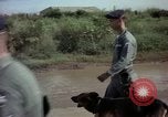 Standbild sentry Hunde Tan Son Nhut Air Force Base Vietnam, 1965, aus Sekunde 10 historischem Filmmaterial Videoclip 65675028500