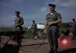 Standbild sentry Hunde Tan Son Nhut Air Force Base Vietnam, 1965, aus Sekunde 23 historischem Filmmaterial Videoclip 65675028500