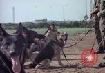 Standbild sentry Hunde Tan Son Nhut Air Force Base Vietnam, 1965, aus Sekunde 39 historischem Filmmaterial Videoclip 65675028500