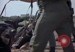 Standbild sentry Hunde Tan Son Nhut Air Force Base Vietnam, 1965, aus Sekunde 44 historischem Filmmaterial Videoclip 65675028500