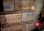 Standbild sentry Hunde Tan Son Nhut Air Force Base Vietnam, 1965, aus Sekunde 17 historischem Filmmaterial Videoclip 65675028501
