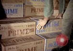 Standbild sentry Hunde Tan Son Nhut Air Force Base Vietnam, 1965, aus Sekunde 18 historischem Filmmaterial Videoclip 65675028501