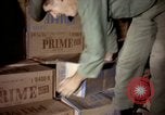 Standbild sentry Hunde Tan Son Nhut Air Force Base Vietnam, 1965, aus Sekunde 19 historischem Filmmaterial Videoclip 65675028501