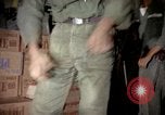 Standbild sentry Hunde Tan Son Nhut Air Force Base Vietnam, 1965, aus Sekunde 21 historischem Filmmaterial Videoclip 65675028501