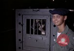 Standbild sentry Hunde Tan Son Nhut Air Force Base Vietnam, 1965, aus Sekunde 60 historischem Filmmaterial Videoclip 65675028501