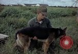Standbild sentry Hund geprüft Tan Son Nhut Air Force Base Vietnam, 1965, aus Sekunde 4 historischem Filmmaterial Videoclip 65675028502