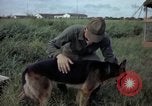 Standbild sentry Hund geprüft Tan Son Nhut Air Force Base Vietnam, 1965, aus Sekunde 5 historischem Filmmaterial Videoclip 65675028502