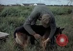 Standbild sentry Hund geprüft Tan Son Nhut Air Force Base Vietnam, 1965, aus Sekunde 7 historischem Filmmaterial Videoclip 65675028502
