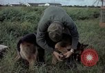 Standbild sentry Hund geprüft Tan Son Nhut Air Force Base Vietnam, 1965, aus Sekunde 9 historischem Filmmaterial Videoclip 65675028502