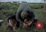 Standbild sentry Hund geprüft Tan Son Nhut Air Force Base Vietnam, 1965, aus Sekunde 10 historischem Filmmaterial Videoclip 65675028502