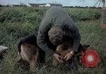 Standbild sentry Hund geprüft Tan Son Nhut Air Force Base Vietnam, 1965, aus Sekunde 11 historischem Filmmaterial Videoclip 65675028502