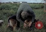 Standbild sentry Hund geprüft Tan Son Nhut Air Force Base Vietnam, 1965, aus Sekunde 13 historischem Filmmaterial Videoclip 65675028502