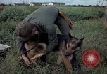 Standbild sentry Hund geprüft Tan Son Nhut Air Force Base Vietnam, 1965, aus Sekunde 16 historischem Filmmaterial Videoclip 65675028502