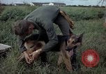 Standbild sentry Hund geprüft Tan Son Nhut Air Force Base Vietnam, 1965, aus Sekunde 17 historischem Filmmaterial Videoclip 65675028502