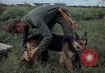 Standbild sentry Hund geprüft Tan Son Nhut Air Force Base Vietnam, 1965, aus Sekunde 18 historischem Filmmaterial Videoclip 65675028502