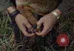 Standbild sentry Hund geprüft Tan Son Nhut Air Force Base Vietnam, 1965, aus Sekunde 22 historischem Filmmaterial Videoclip 65675028502