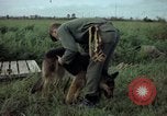 Standbild sentry Hund geprüft Tan Son Nhut Air Force Base Vietnam, 1965, aus Sekunde 32 historischem Filmmaterial Videoclip 65675028502