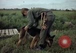 Standbild sentry Hund geprüft Tan Son Nhut Air Force Base Vietnam, 1965, aus Sekunde 34 historischem Filmmaterial Videoclip 65675028502