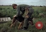 Standbild sentry Hund geprüft Tan Son Nhut Air Force Base Vietnam, 1965, aus Sekunde 35 historischem Filmmaterial Videoclip 65675028502
