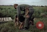 Standbild sentry Hund geprüft Tan Son Nhut Air Force Base Vietnam, 1965, aus Sekunde 37 historischem Filmmaterial Videoclip 65675028502