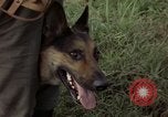Standbild sentry Hund geprüft Tan Son Nhut Air Force Base Vietnam, 1965, aus Sekunde 59 historischem Filmmaterial Videoclip 65675028502