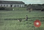 Immagine di Sentry cane attaccando Tan Son Nhut Air Force Base Vietnam, 1965, secondo 1 filmato di repertorio 65675028503
