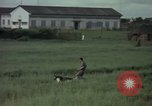 Immagine di Sentry cane attaccando Tan Son Nhut Air Force Base Vietnam, 1965, secondo 4 filmato di repertorio 65675028503