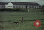 Immagine di Sentry cane attaccando Tan Son Nhut Air Force Base Vietnam, 1965, secondo 5 filmato di repertorio 65675028503