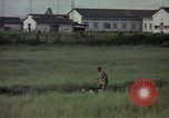 Immagine di Sentry cane attaccando Tan Son Nhut Air Force Base Vietnam, 1965, secondo 9 filmato di repertorio 65675028503